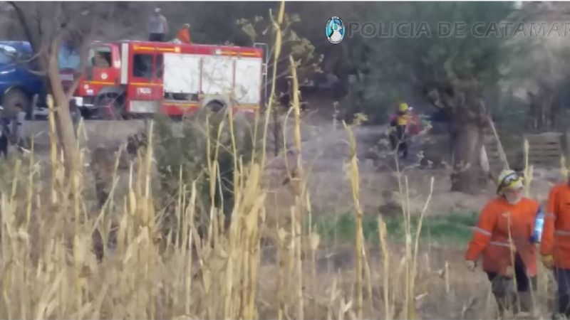 Bomberos llegaron a tiempo para apagar un incendio que iba a alcanzar a viviendas