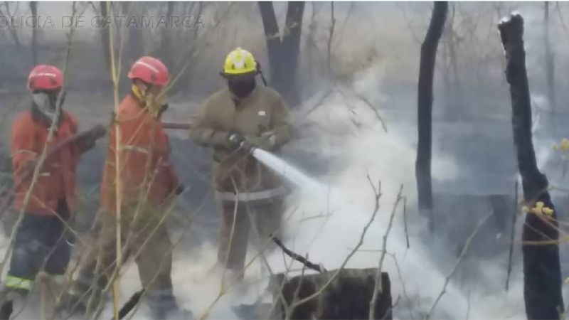 Bomberos llegaron a tiempo para apagar un incendio que iba a alcanzar a viviendas