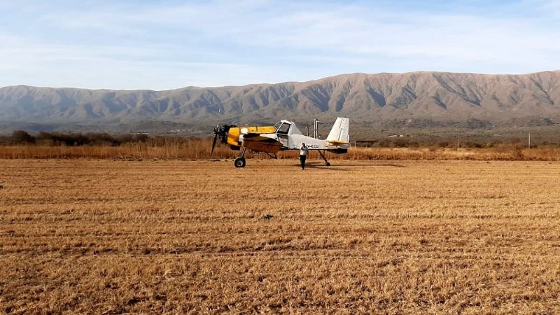 No cesan los incendios forestales en la provincia