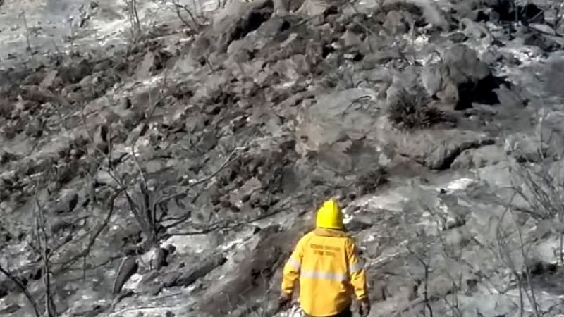 No cesan los incendios forestales en la provincia