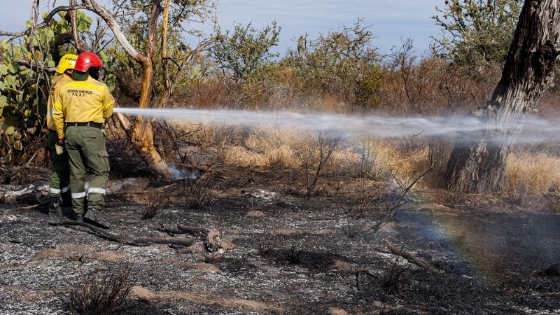 No cesan los incendios forestales en la provincia