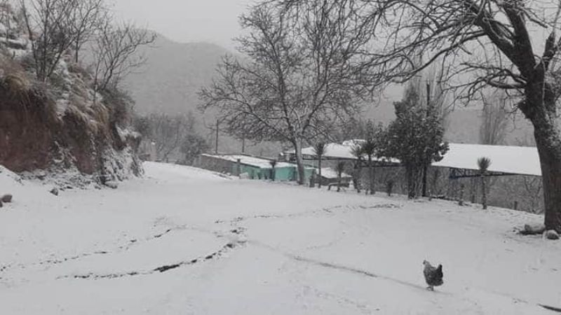 Nieve en El Rodeo y localidades de Belén
