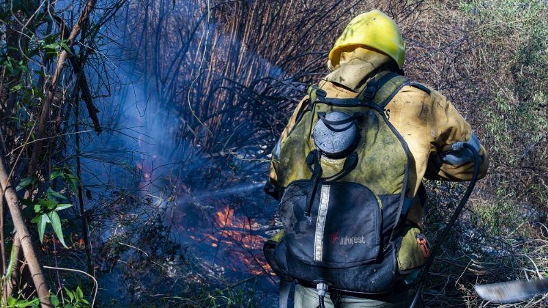 Combaten incendio de gran magnitud en Pomancillo