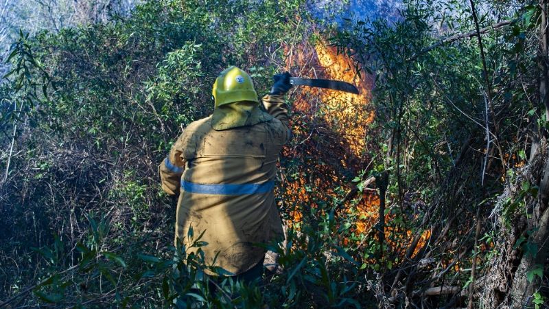 Combaten incendio de gran magnitud en Pomancillo