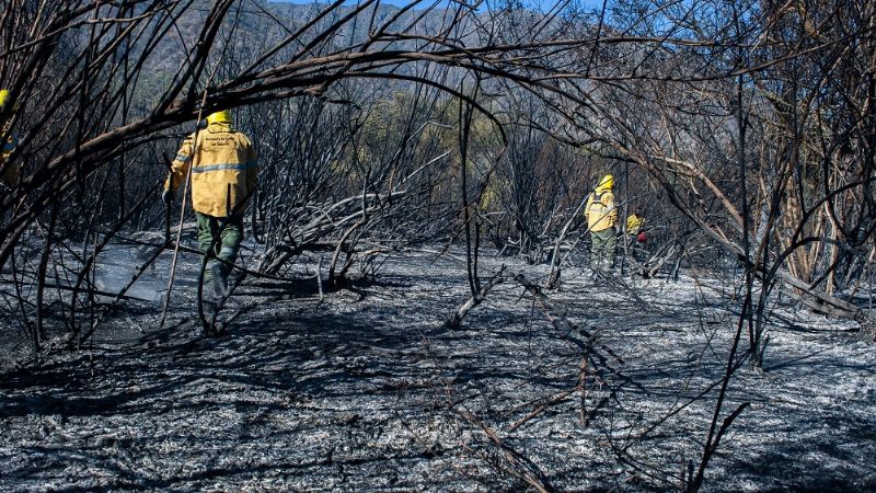 Combaten incendio de gran magnitud en Pomancillo