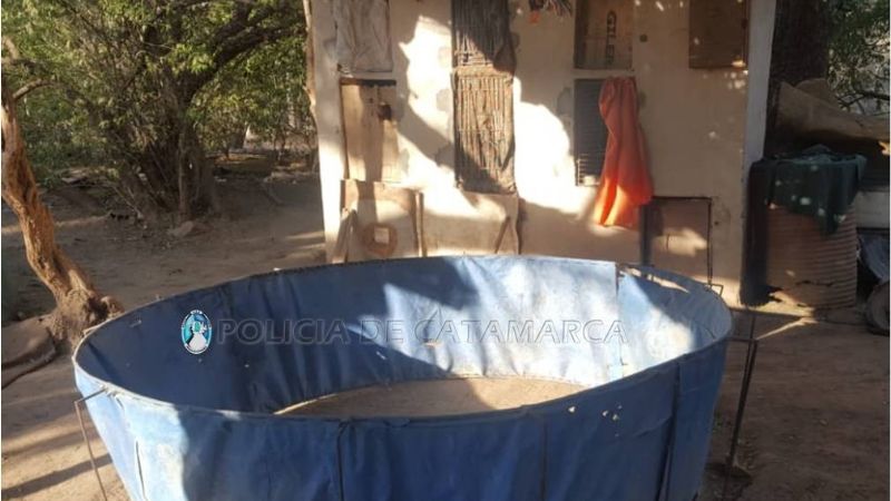 Arrestan a siete personas, secuestran varios vehículos y gallos de riñas