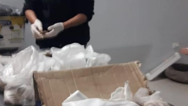 Importante hallazgo arqueológico en la localidad de Medanitos