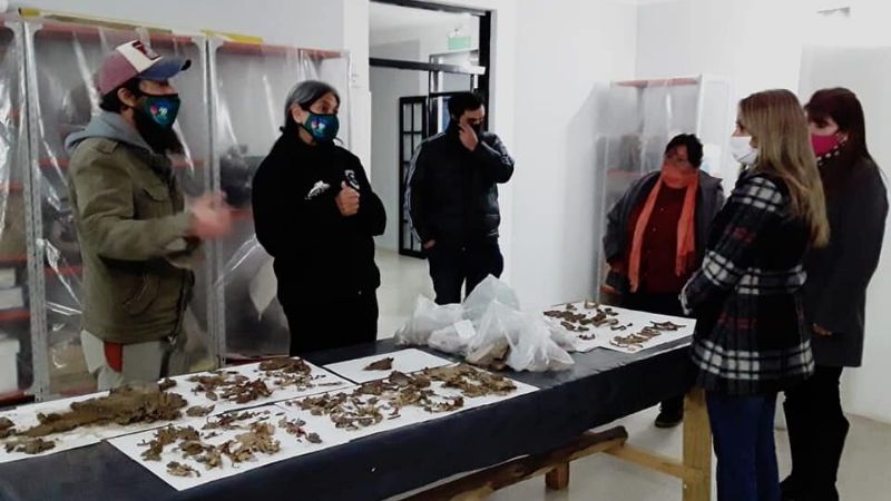 Importante hallazgo arqueológico en la localidad de Medanitos