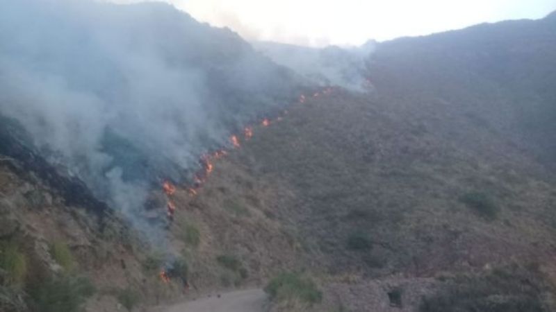Incendio forestal en Minas Capillitas