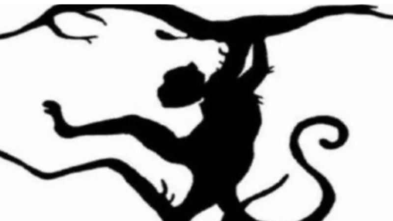 ¿Qué animal viste primero?: este test revela aspectos ocultos de tu personalidad