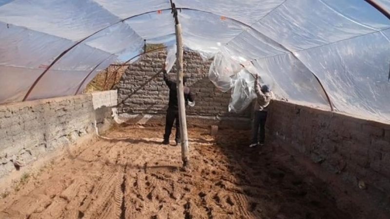 Programa de Huertas Familiares para Fiambalá