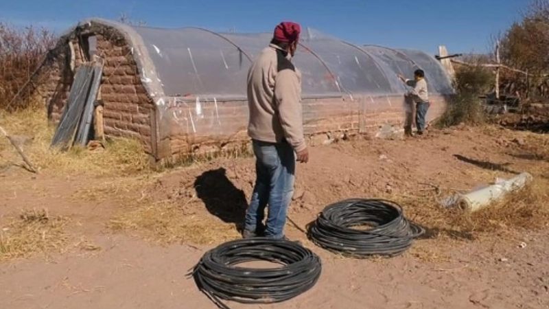 Programa de Huertas Familiares para Fiambalá