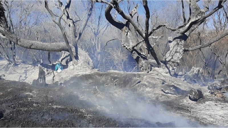 Incendio de pastizales en Belén