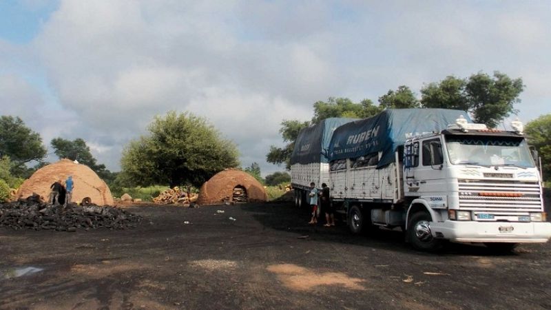 Suspenden los permisos de toda actividad y transporte forestales