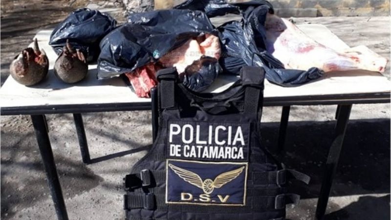 Secuestran 30 kilos de carne