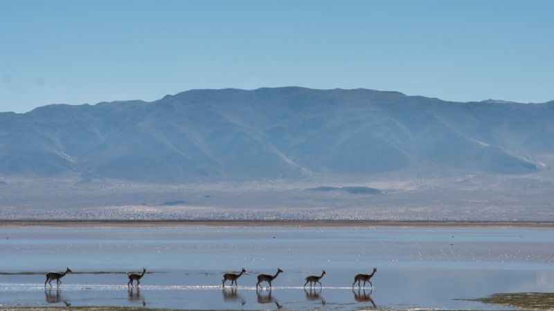 Avanza en Diputados proyecto de auxilio para el sector turístico