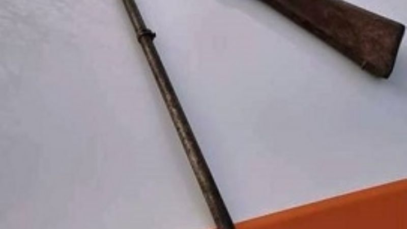 Le mataron el perro de un disparo