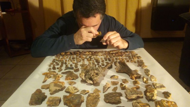 Hallaron un armadillo fósil de 700 mil años que “sobrevivió” a la batalla de Vuelta de Obligado