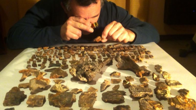 Hallaron un armadillo fósil de 700 mil años que “sobrevivió” a la batalla de Vuelta de Obligado