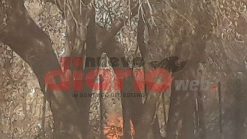 Pastor evangélico quemó vivo a un perro porque le “entró un demonio”