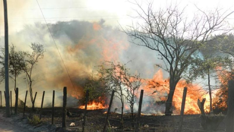 Quemaron basura y el fuego dañó los cables del tendido eléctrico
