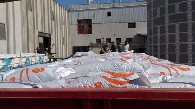 Envío de porotos negros a Ecuador y Chile