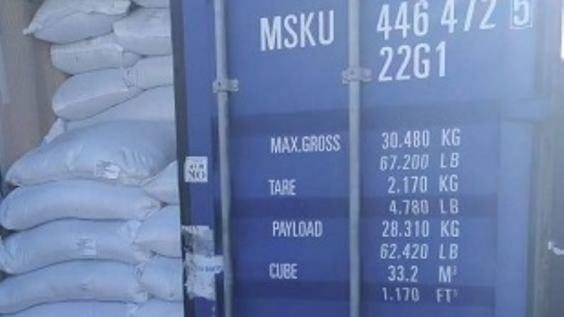 Envío de porotos negros a Ecuador y Chile