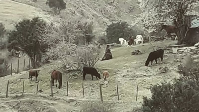 Piden cuidar la limpieza de La Silleta, naturaleza de Las Juntas