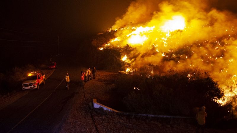 Contienen un incendio forestal camino a El Rodeo