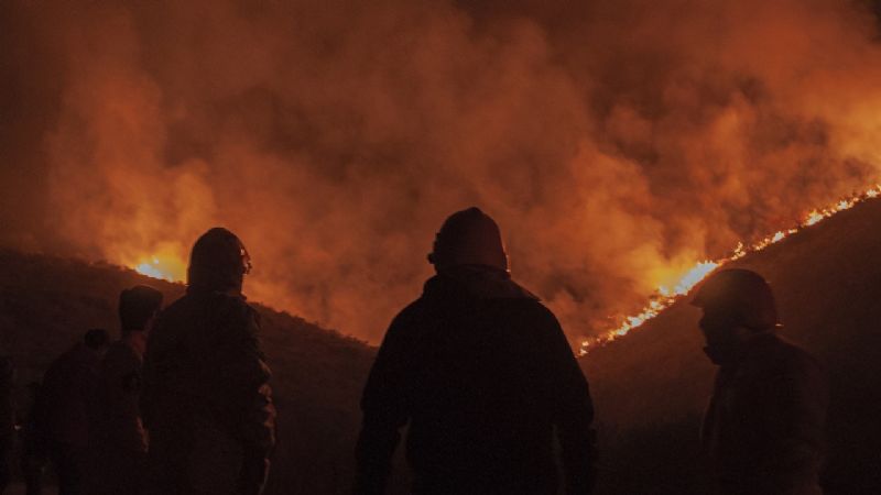Contienen un incendio forestal camino a El Rodeo