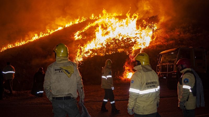 Contienen un incendio forestal camino a El Rodeo