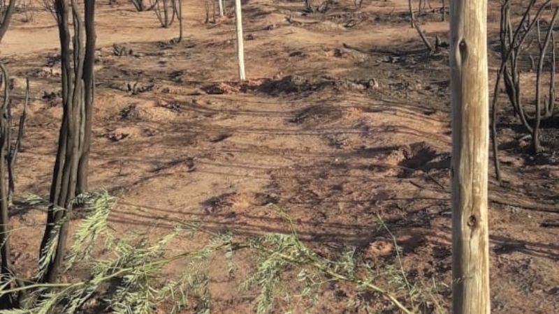 Comienza el plan de recuperación en La Puntilla