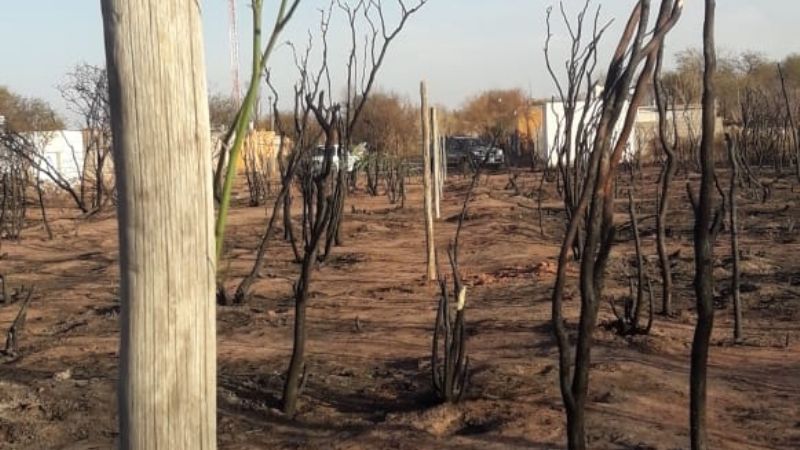 Comienza el plan de recuperación en La Puntilla