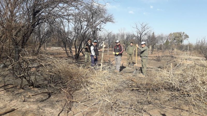 Comienza el plan de recuperación en La Puntilla