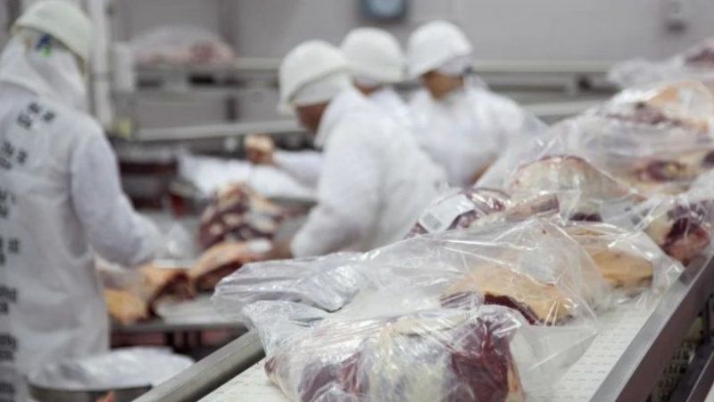 La OMS confirmó que el Covid-19 no se transmite por alimentos