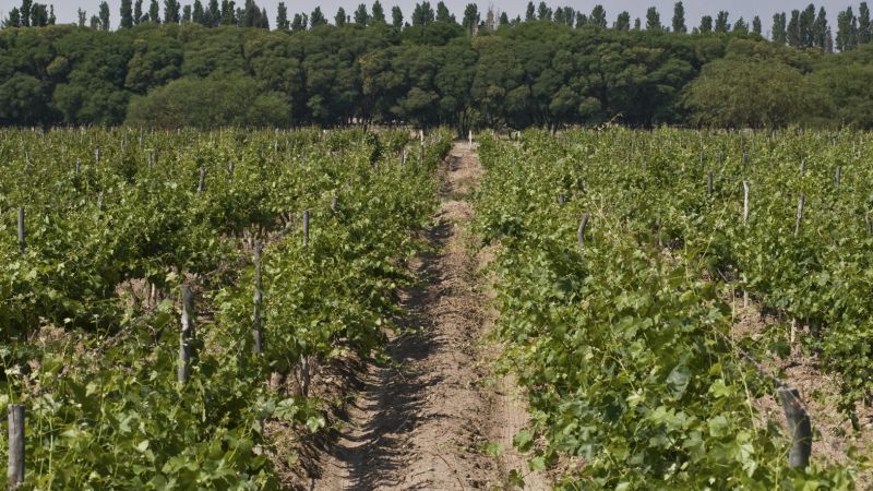 Taller de Buenas Prácticas en Enoturismo para el NOA