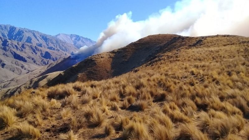 Combaten incendio forestal cerca de El Crestón