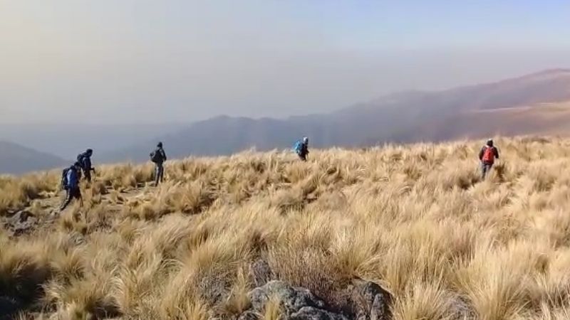 Combaten incendio forestal cerca de El Crestón