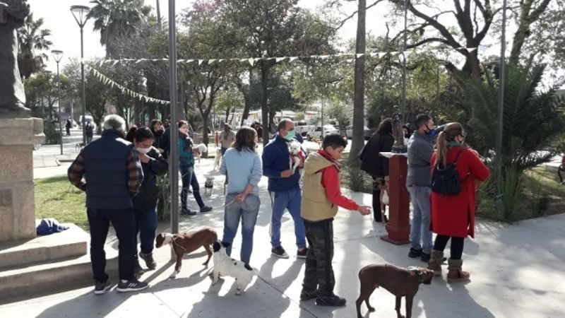 Bendición de mascotas en La Chacarita