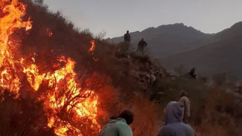 Impresionante avance de las llamas en El Crestón