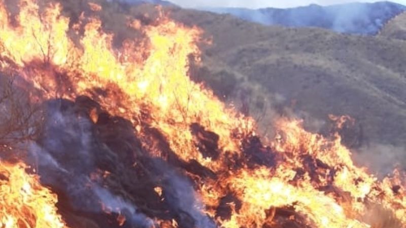 Impresionante avance de las llamas en El Crestón