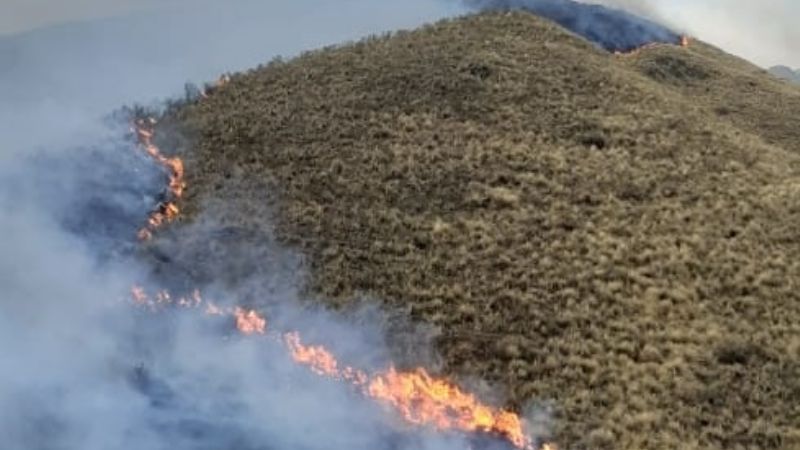 Impresionante avance de las llamas en El Crestón