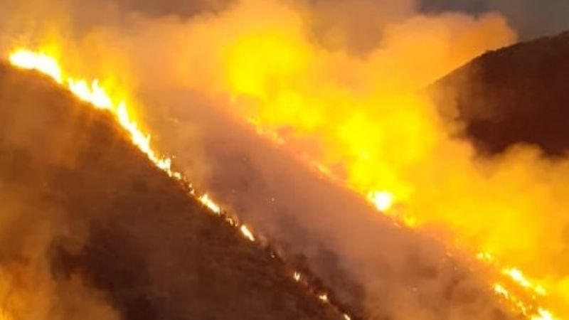 Impresionante avance de las llamas en El Crestón