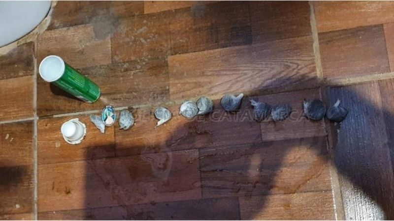 Secuestran pastillas y 17 gramos de marihuana