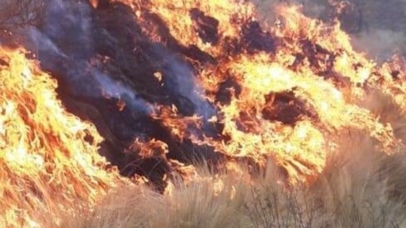Trabajan sin descanso para apagar el tremendo incendio en Ambato