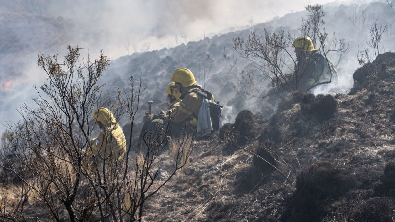 Declaran circunscripto el incendio de Los Ángeles