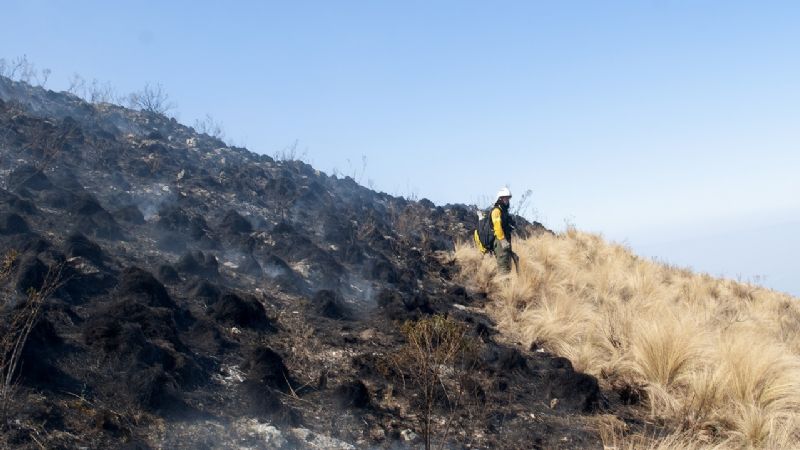 Declaran circunscripto el incendio de Los Ángeles