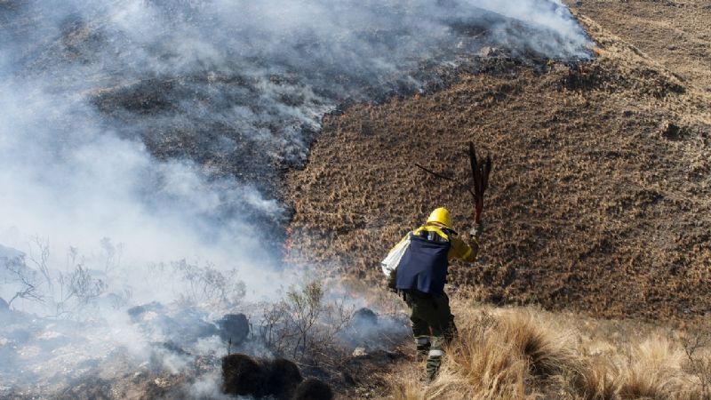 Declaran circunscripto el incendio de Los Ángeles