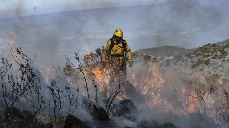 Declaran circunscripto el incendio de Los Ángeles