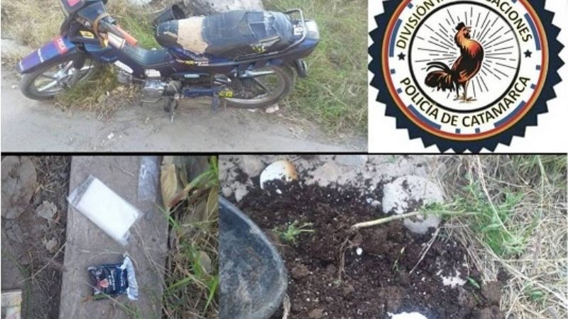 Secuestran 3 plantines de marihuana